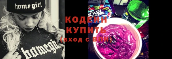 шишки Мегион