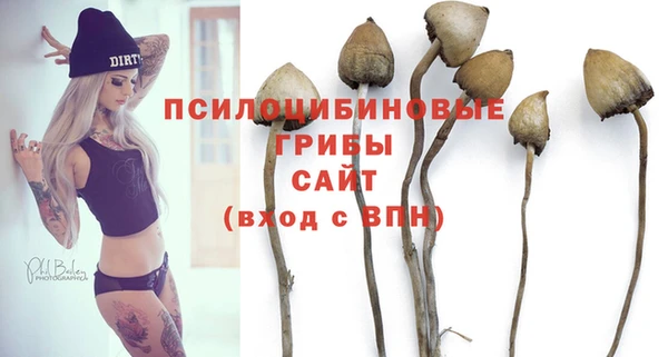 шишки Мегион
