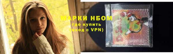 шишки Мегион