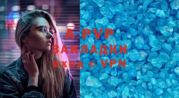 шишки Мегион