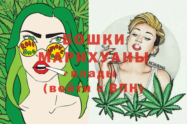 шишки Мегион