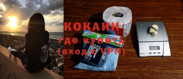 шишки Мегион