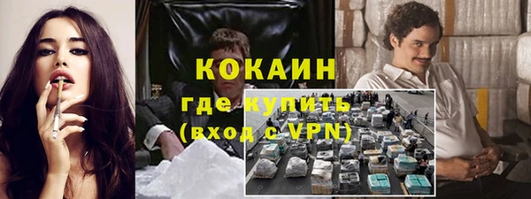 шишки Мегион