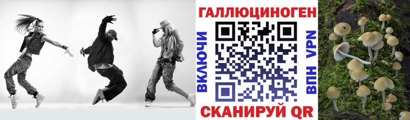 что такое   Гороховец  Галлюциногенные грибы Psilocybine cubensis 